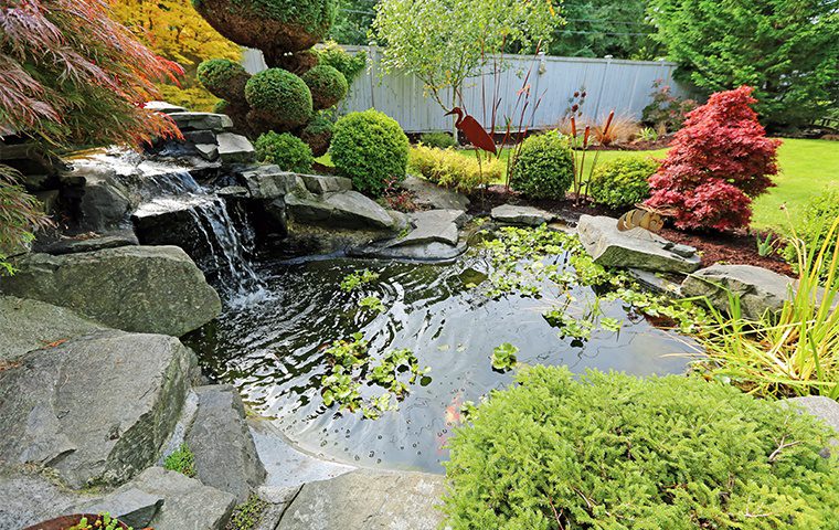 Pet and Garden Care & Advice