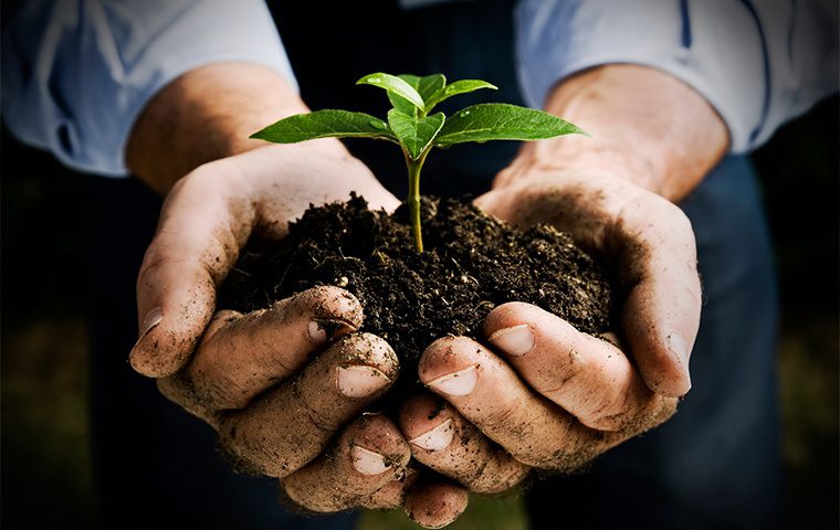 News 59 Planting