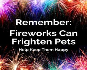 Firework Advice For Pet Owners