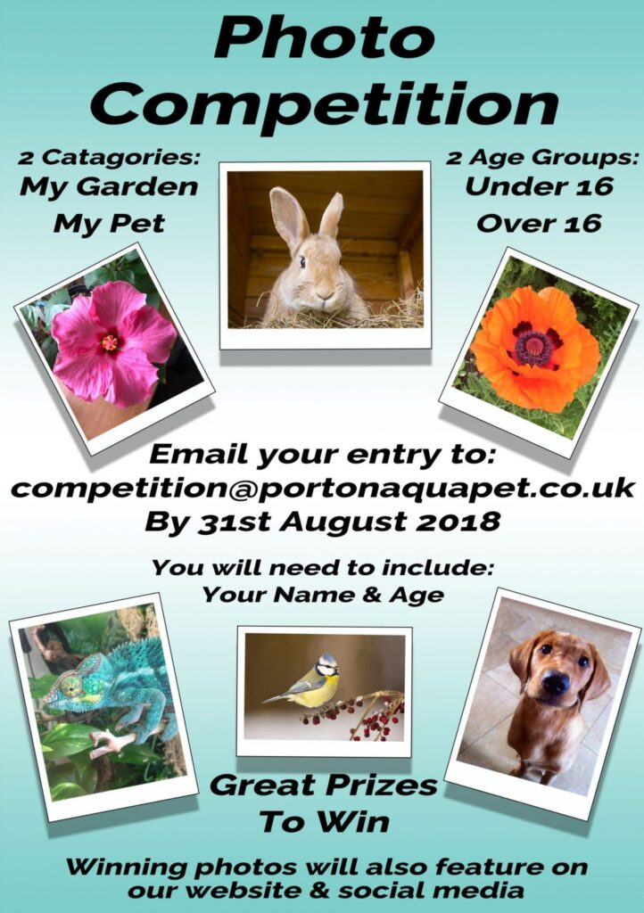 photo compeition