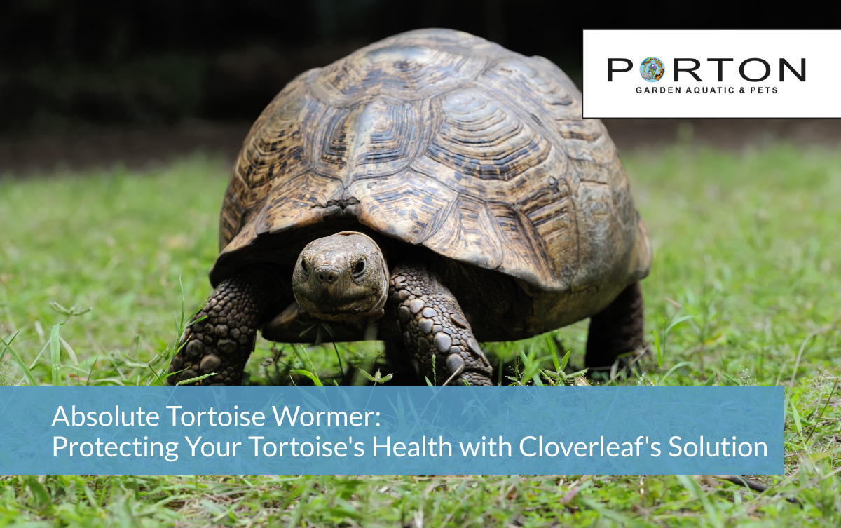 Absolute Tortoise Wormer: Protecting Your Tortoise's Health with Cloverleaf's Solution 1 Absolute Tortoise Wormer: Protecting Your Tortoise's Health with Cloverleaf's Solution