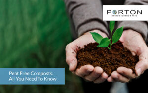 Peat Free Composts: All You Need To Know