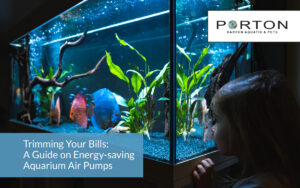 Trimming Your Bills: A Guide on Energy-saving Aquarium Air Pumps