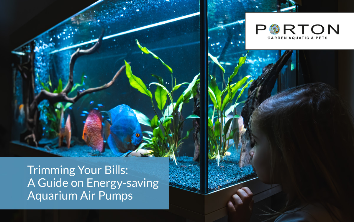 Trimming Your Bills: A Guide on Energy-saving Aquarium Air Pumps 1 Trimming Your Bills: A Guide on Energy-saving Aquarium Air Pumps