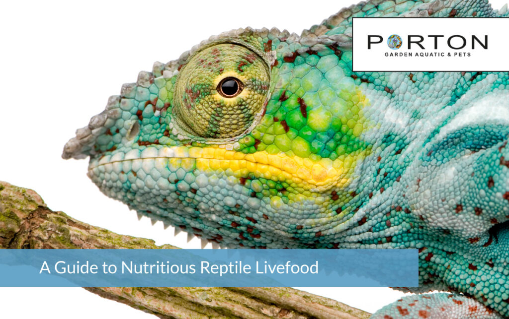 The Guide to Nutritious Reptile Livefood 1 The Guide to Nutritious Reptile Livefood