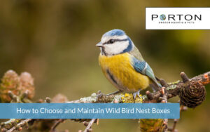 How to Choose and Maintain Wild Bird Nest Boxes