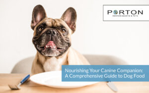Nourishing Your Canine Companion: A Comprehensive Guide to Dog Food