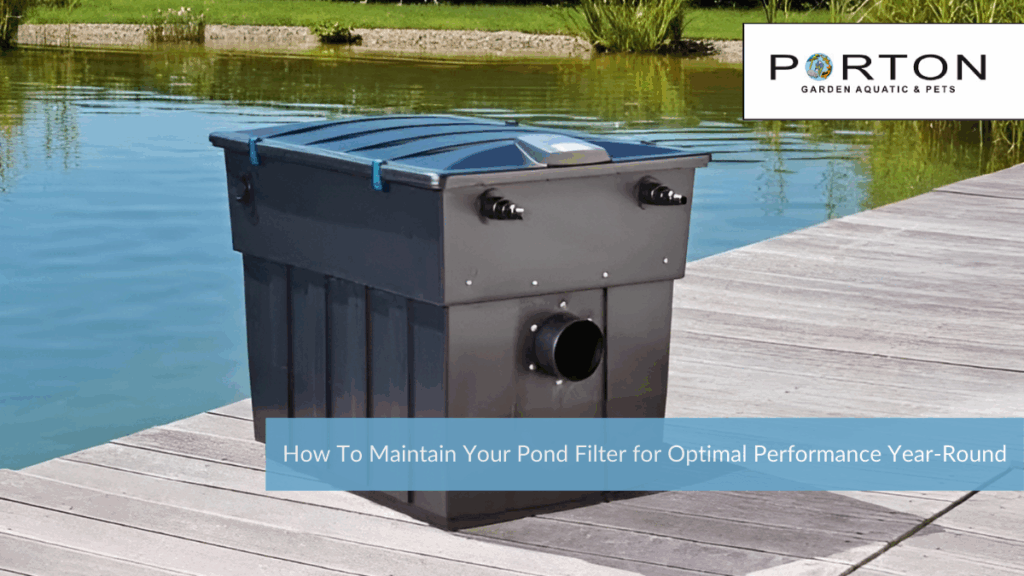 How To Maintain Your Pond Filter for Optimal Performance Year-Round 1 How To Maintain Your Pond Filter for Optimal Performance Year-Round