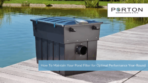 How To Maintain Your Pond Filter for Optimal Performance Year-Round