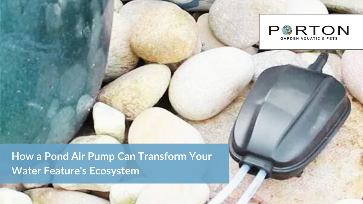 How a Pond Air Pump Can Transform Your Water Feature's Ecosystem 1 How a Pond Air Pump Can Transform Your Water Feature's Ecosystem