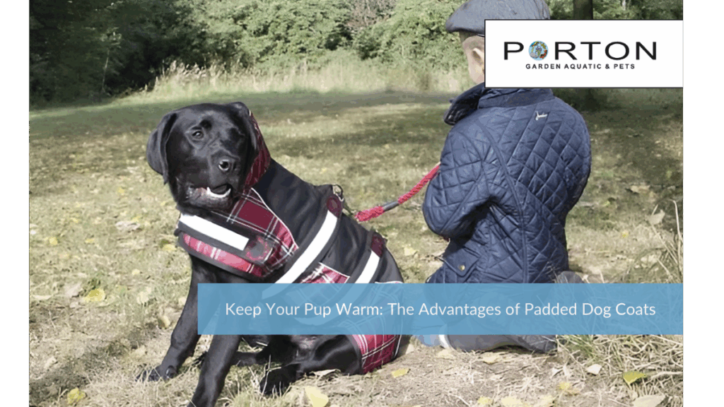 Keep Your Pup Warm: The Advantages of Padded Dog Coats 1 Keep Your Pup Warm: The Advantages of Padded Dog Coats