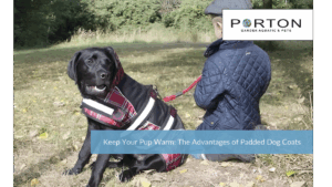 Keep Your Pup Warm: The Advantages of Padded Dog Coats