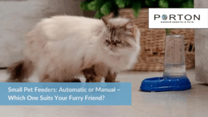 Small Pet Feeders Automatic or Manual –Which One Suits Your Furry Friend