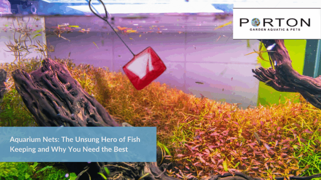 Aquarium Nets: The Unsung Hero of Fish Keeping and Why You Need the Best 1 Aquarium Nets: The Unsung Hero of Fish Keeping and Why You Need the Best