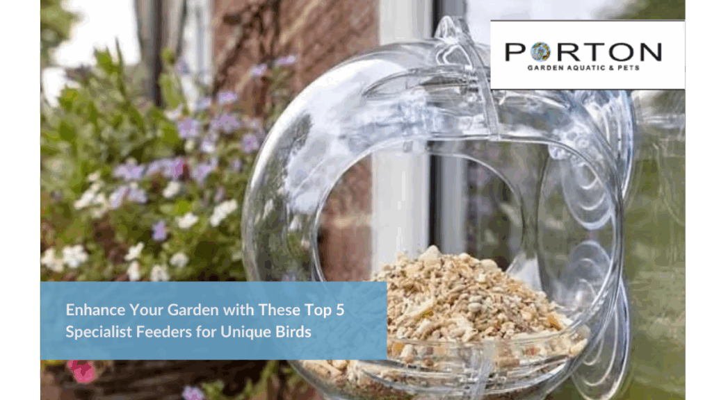 Enhance Your Garden with These Top 5 Specialist Feeders for Unique Birds 1 Enhance Your Garden with These Top 5 Specialist Feeders for Unique Birds