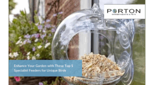 Enhance Your Garden with These Top 5 Specialist Feeders for Unique Birds