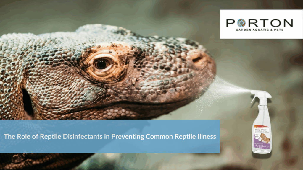 The Role of Reptile Disinfectants in Preventing Common Reptile Illness 1 The Role of Reptile Disinfectants in Preventing Common Reptile Illness