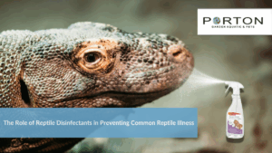 The Role of Reptile Disinfectants in Preventing Common Reptile Illness