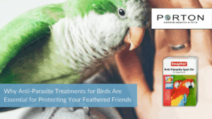Why Anti-Parasite Treatments for Birds Are Essential for Protecting Your Feathered Friends