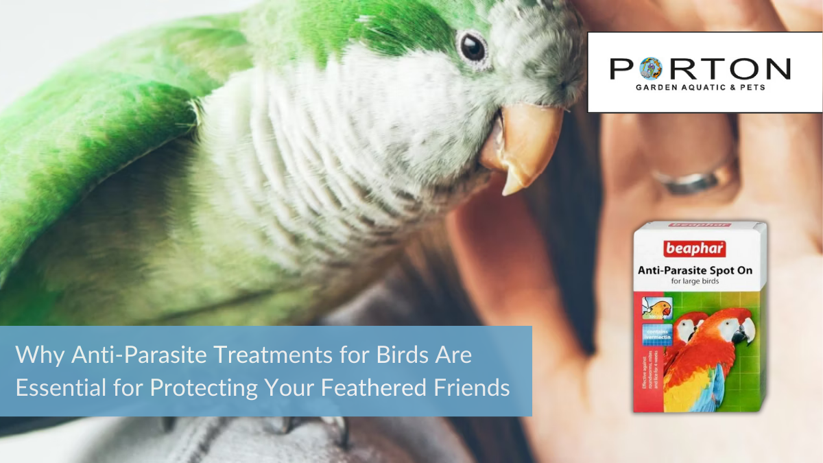 Why Anti-Parasite Treatments for Birds Are Essential for Protecting Your Feathered Friends 1 Why Anti-Parasite Treatments for Birds Are Essential for Protecting Your Feathered Friends
