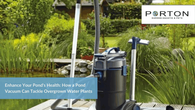 News 28 Enhance Your Pond's Health: How a Pond Vacuum Can Tackle Overgrown Water Plants