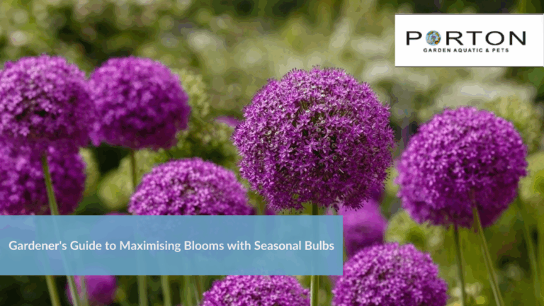 News 23 Gardener's Guide to Maximising Blooms with Seasonal Bulbs