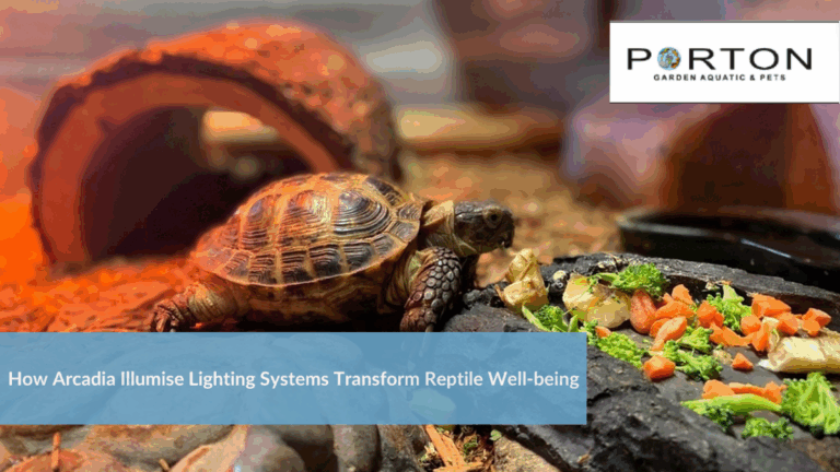 News 27 How Arcadia Illumise Lighting Systems Transform Reptile Well-being