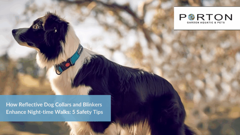 News 25 How Reflective Dog Collars and Blinkers Enhance Night-time Walks: 5 Safety Tips