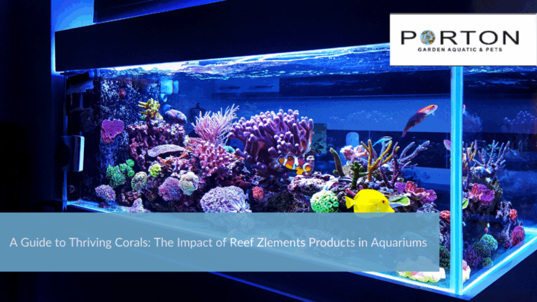 News 47 A Guide to Thriving Corals: The Impact of Reef Zlements Products in Aquariums