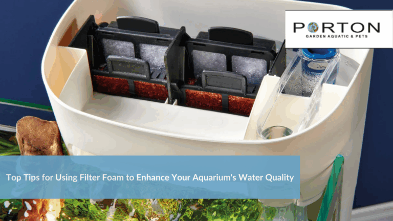 News 26 Top Tips for Using Filter Foam to Enhance Your Aquarium's Water Quality