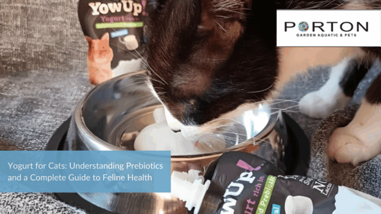 News 44 Yogurt for Cats: Understanding Prebiotics and a Complete Guide to Feline Health
