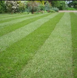Lawn Care 27 Lawn Care