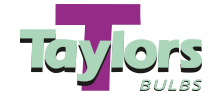Taylors Bulbs