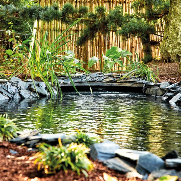 Spring & Summer Time Pond Care 7 Spring & Summer Time Pond Care