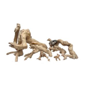 ProRep Java Reptile Branch Large