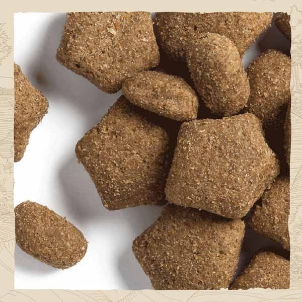 Beta Chicken Puppy 2kg Dry Dog Food 7 Beta Chicken Puppy 2kg Dry Dog Food - Image 7