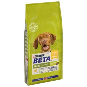 Beta Dog