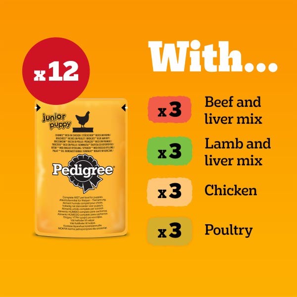 Pedigree Meat Selection in Jelly Puppy 12x100g Wet Dog Food 3 Pedigree Meat Selection in Jelly Puppy 12x100g Wet Dog Food - Image 3