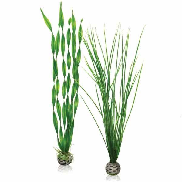 biOrb Easy Plant Set Green Large 2 Pack 1 biOrb Easy Plant Set Green Large 2 Pack