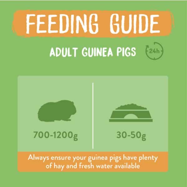 Burgess Excel Guinea Pig Nuggets Mint 10kg 3 Burgess Excel Guinea Pig Nuggets Mint 10kg - Image 3