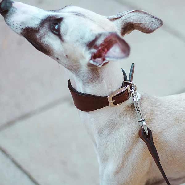 Ferplast VIP CW20/39 Bull Leather Dog Collar 3 Ferplast VIP CW20/39 Bull Leather Dog Collar - Image 3