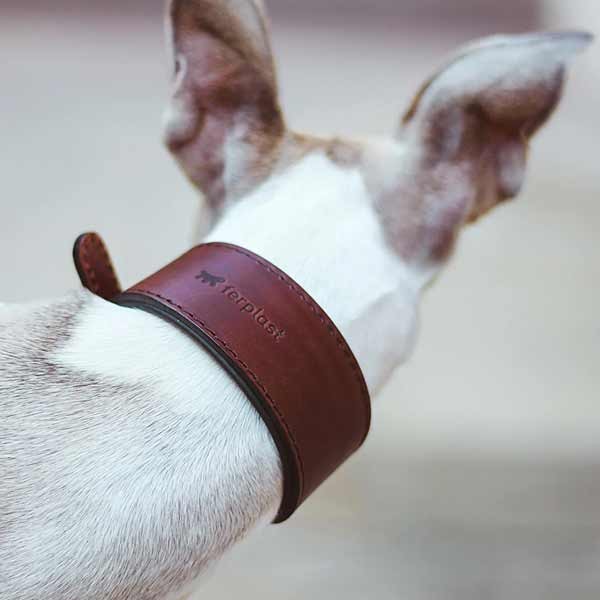 Ferplast VIP CW20/39 Bull Leather Dog Collar 4 Ferplast VIP CW20/39 Bull Leather Dog Collar - Image 4
