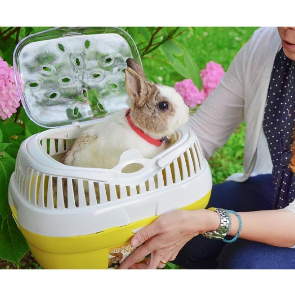 Ferplast Aldino Large for Small Animals 2 Ferplast Aldino Large for Small Animals - Image 2