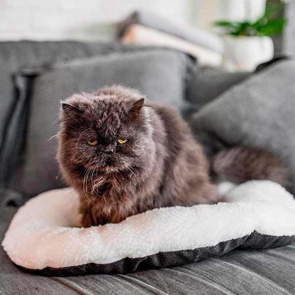 Ferplast Relax F Cushion 55/4 Grey 55x36cm 3 Ferplast Relax F Cushion 55/4 Grey 55x36cm - Image 3