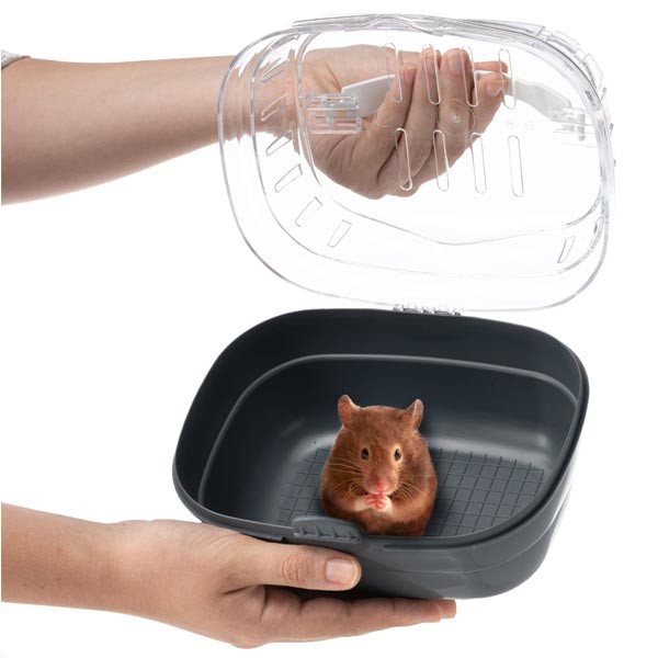 Ferplast Aldino Small for Small Animals 2 Ferplast Aldino Small for Small Animals - Image 2