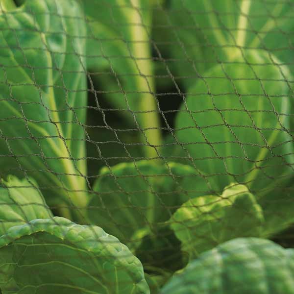Grow it Multi-Purpose Knitted Garden Netting 2 Grow it Multi-Purpose Knitted Garden Netting - Image 2
