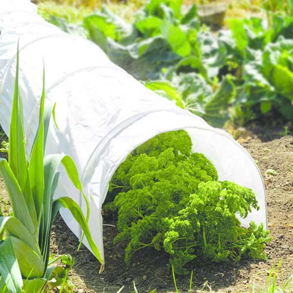 Grow it Polythene Grow Tunnel 3 Grow it Polythene Grow Tunnel - Image 3