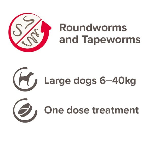 Beaphar One Dose Worming Tablets for Dogs (6-40kg) 2 Beaphar One Dose Worming Tablets for Dogs (6-40kg) - Image 2