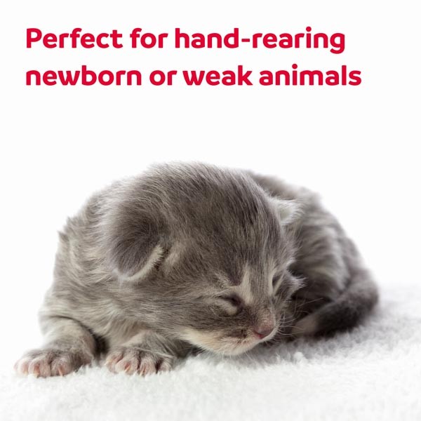 Beaphar Lactol Milk Replacer Feeding Syringes for Kittens & Puppies 2 Pack 4 Beaphar Lactol Milk Replacer Feeding Syringes for Kittens & Puppies 2 Pack - Image 4