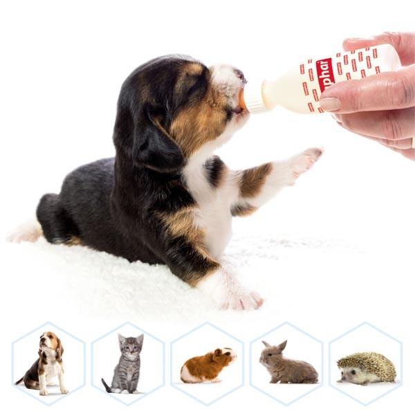 Beapher Lactol Milk Replacer Feeding Accessories 3 Beapher Lactol Milk Replacer Feeding Accessories - Image 3